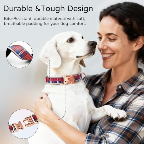 Reflective Plaid Dog Collar for Medium Dogs, Red & Blue-M