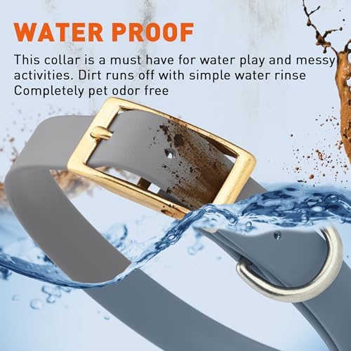 Viper Biothane Heavy Duty Waterproof Dog Collar Strong Coated Nylon Webbing w/Solid Brass Hardware Odor-Proof Easy to Clean High Performance Fits Small Medium or Large Dogs, Battleship Gray