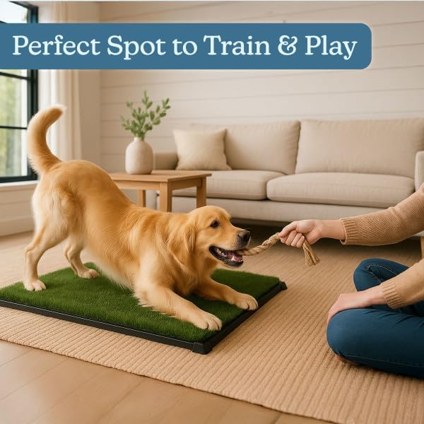 PETMAKER Artificial Grass Puppy Pee Pad for Dogs and Small Pets with Tray - 20x30 inches Washable 3-Layer Reusable Indoor Dog Potty Grass Training Pad, Easy Clean Pet Housebreaking Potty Solution