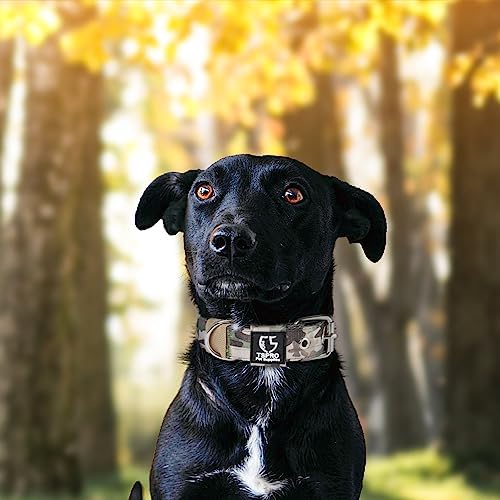 TSPRO Heavy Duty Thick Dog Collar with Metal Buckle for Small Dogs
