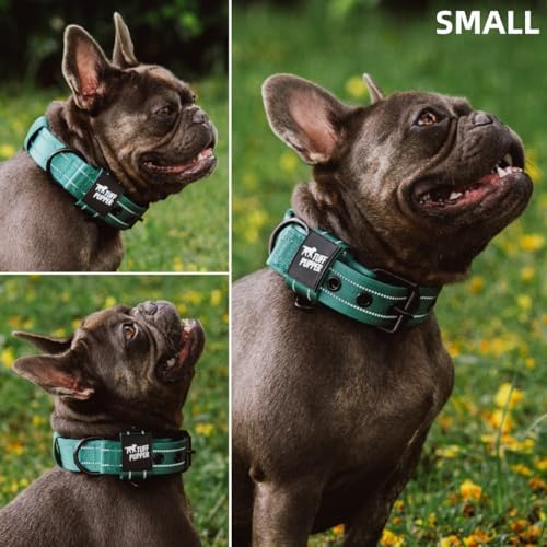 Tuff Pupper Heavy Duty Tactical Dog Collar | 1.25" Wide Ballistic Nylon | Reflective Stitching | Integrated ID Tag Holder | Stainless Steel Buckle | Padded Lining | Small & Medium Dogs (Green, Small)