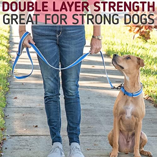 Leashboss 6ft Ultra Comfort Double-Thick Soft Padded Handle Reflective Leash for Large, Medium, and Small Dogs/Puppies | Heavy Duty Nylon