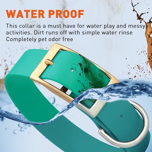 Viper Biothane Heavy Duty Waterproof Dog Collar Strong Coated Nylon Webbing w/Solid Brass Hardware Odor-Proof Easy to Clean High Performance Fits Small Medium or Large Dogs, Teal