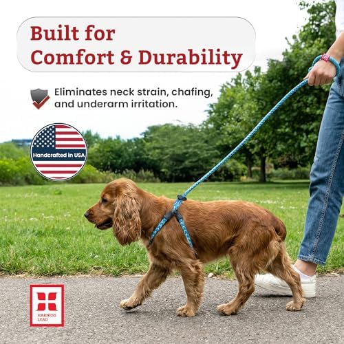 Harness Lead No Pull Dog Harness and Leash Set, Anti Pull Dog Harness, One-Piece Cushioned Rope Safely Prevents Escaping and Pulling (Small/Medium, Purple/Turquoise)