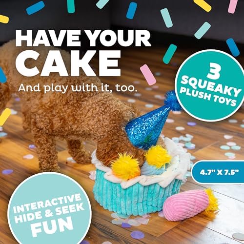 Outward Hound Hide-A-Birthday-Cake Plush Squeaky Dog Toy, 7.5" x 4.7"