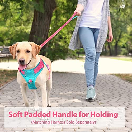 PHOEPET 5 Feet Dog Leash with Comfortable Padded Handle Easy Snap Clasp