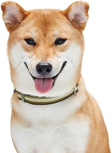 Blueberry Pet Dual D-Ring Safety Dog Collar | Adjustable Nylon Collar with Multicolor Stripes in Olive| Durable Collar Size X-Large for Large Breeds
