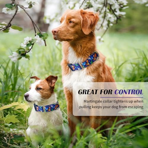 Hikiko Martingale Collar for Dogs with Special Pattern,Adjustable,M