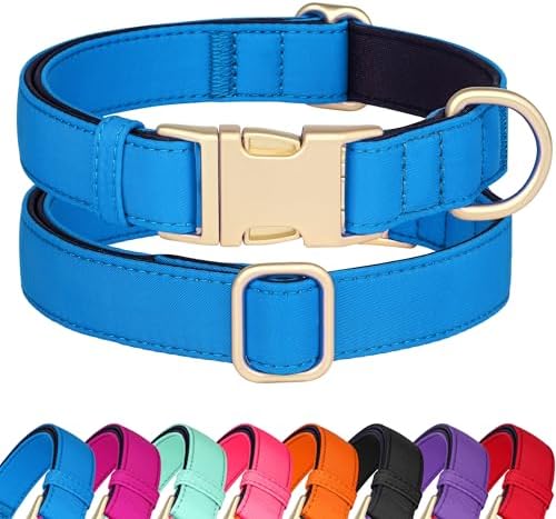 Didog Soft Padded Dog Collar for Medium Dogs, Blue, M Neck 14-18"
