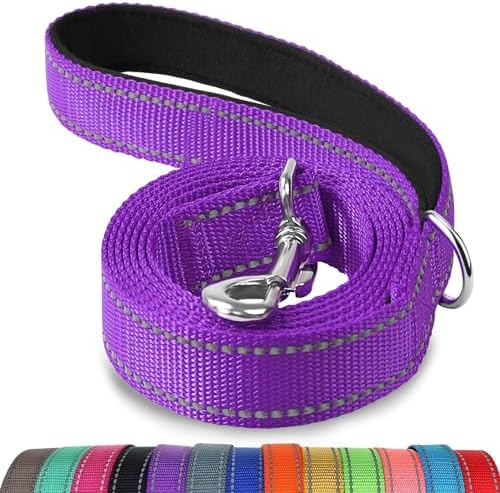 Joytale Reflective Dog Leash for Small Dogs, 6 FT x 3/4", Purple