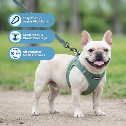 Best Pet Supplies Voyager Step-in Air All Weather Mesh Harness and Reflective Dog 5ft Leash Combo with Neoprene Handle, for Small, Medium and Large Breed Puppies - Moss Green, Large