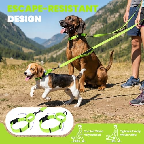 VIVAGLORY Double Handle Dog Leash Twingrip, 5ft x 1in, M, Neon Yellow