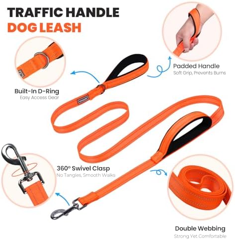 VIVAGLORY Double Handle Dog Leash Twingrip, 5ft x 1in, L, Orange Grey
