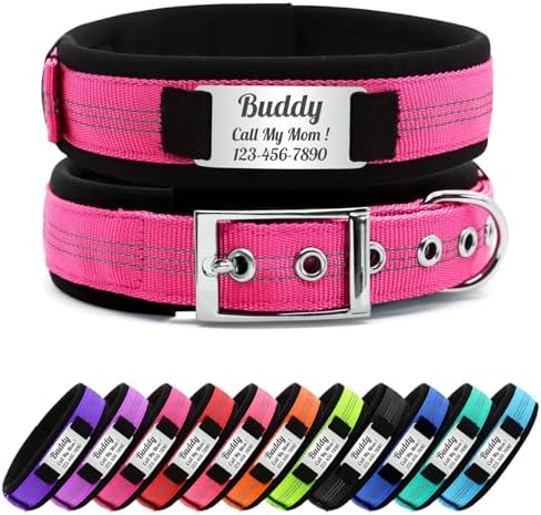 Personalized Nylon Dog Collar with Name Tag (Hot Pink, S)