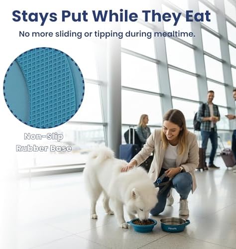 PawsPik 2-in-1 Travel Dog & Cat Bowl – Collapsible BPA-Free Silicone