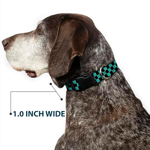 Buckle-Down Plastic Clip Collar - Checker Black/Teal - Wide-Medium 16-23"