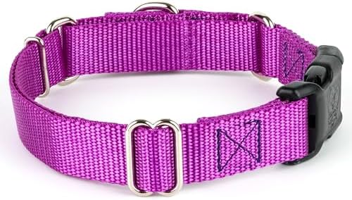 Martingale Dog Collar - Heavy Duty Nylon Adjustable Martingale Dog Collar with Plastic Buckle for Small Medium Large Breeds - 30+ Colors (5/8 Inch, Extra Small, Bright Purple)