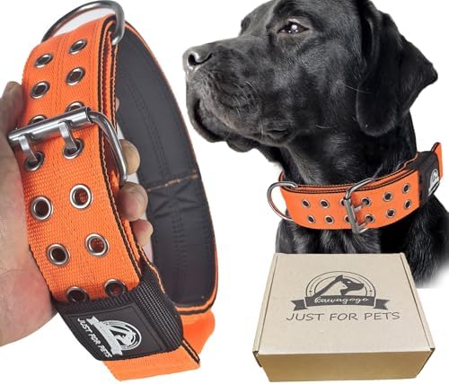 4-Layer Nylon Dog Collar,Heavy Duty Dog for Large Dogs,Orange L