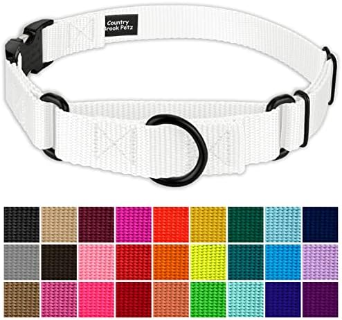 Country Brook Petz - Martingale Dog Collar - Heavy Duty Nylon Adjustable Martingale Dog Collar with Metal Buckle for Small Medium Large Breeds - 30+ Color Options (1 Inch, Extra Large, White)