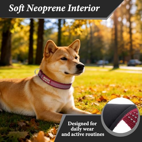 Personalized Dog Collars with Name & Phone Number, Neoprene Padded