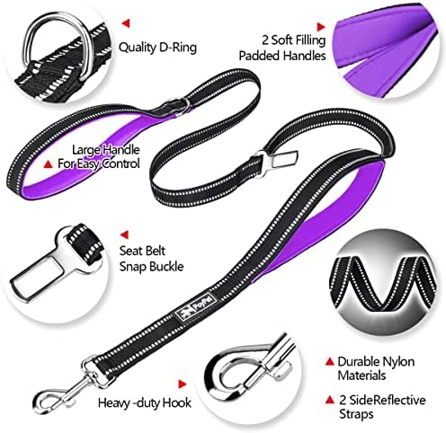 PoyPet 5 Feet Dog Leash with 2 Cushioned Handles (Purple)