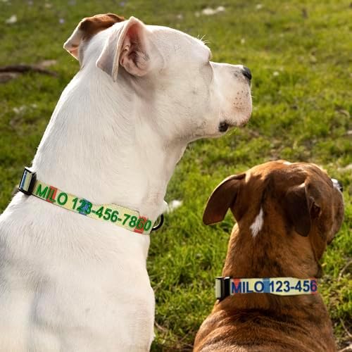 Pawtitas Personalized Dog Collar Small Dog Collar Embroider Name Phone Number Puppy Collar Adjustable Customized Collar for Small Dogs Breeds Multicolor Dog Collar