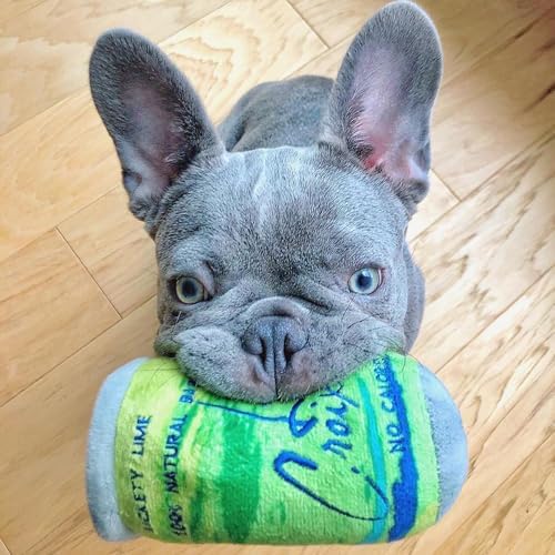 Haute Diggity Dog LickCroix Barkling Water Plush Dog Toy, Drink Parody Toy