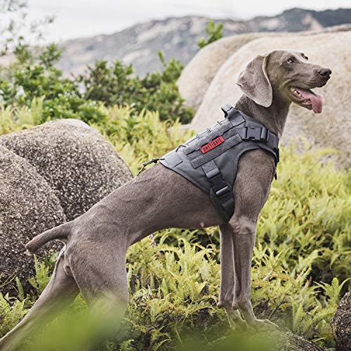 OneTigris Tactical Dog Harness Vest No-Pull Service Dog Vest for Small Dogs