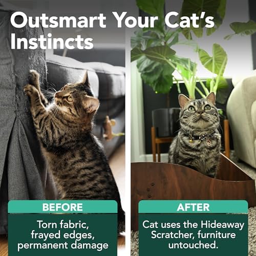 Necoichi Hideaway Cat Scratcher Box — Extra Large | Horizontal Scratch Pad + Lounger + Hideaway for Indoor Cats | 100% Recycled Cardboard, Chemical-Free