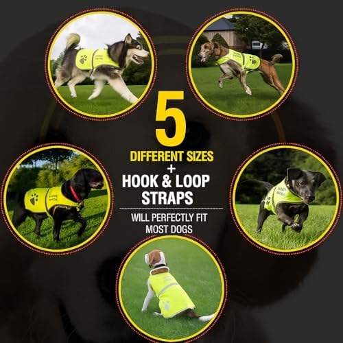 Safety Reflective Vest for Dogs - High Visibility for Outdoor Activity Day and Night, Protect Your Pet from Cars & Hunting Accidents