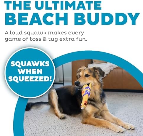 Outward Hound by Charming Pet Squawkers Henrietta Latex Squeaky Rubber Chicken Dog Toy, Funny Interactive Holiday Toy for Dogs, Large Size (Pack of 2)