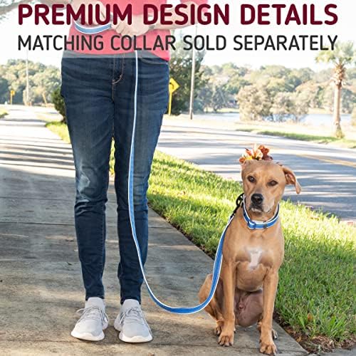 Leashboss 6ft Ultra Comfort Double-Thick Soft Padded Handle Reflective Leash for Large, Medium, and Small Dogs/Puppies | Heavy Duty Nylon