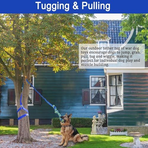 Dog Bungee Tug Toy Hanging from Tree, Outdoor Interactive Tether-Blue