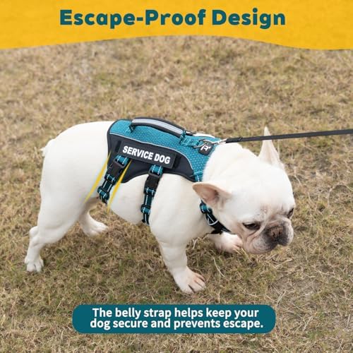 Huntboo Service Dog Vest Harness, Escape Proof Harness with 6 Patches, No-Pull, Reflective Harness with Handle, Adjustable for Small to Large Dogs, for Training and Hiking (Teal, M)