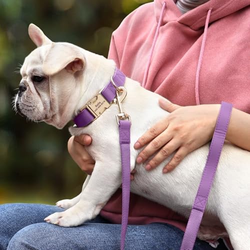 PET ARTIST Personalized Dog Collars, Custom Dog Collar with Engraved Silent Name Tag, Gold Quick Released Buckle & Soft Nylon Padded, 9 Colors & Matching Leash for Small Dogs,Purple,S Fit 9-14"