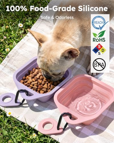Pecute 2 Pack Foldable Dog Bowls for Travel, Portable Silicone, Pink/Purple