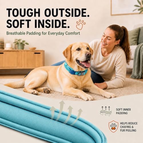 Tactical Dog Collar with Handle, Heavy Duty Nylon for Large Dogs