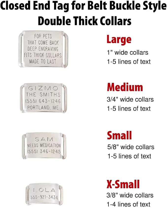 Dog Tag for Thick Collar - Boomerang Tags, Deep Engraved Stainless Steel Lasts Your Pets Lifetime - Slide on Pet Name Tag (Closed End Large for 1 Inch Leather or 2-Ply Nylon Collars with Belt Buckle)