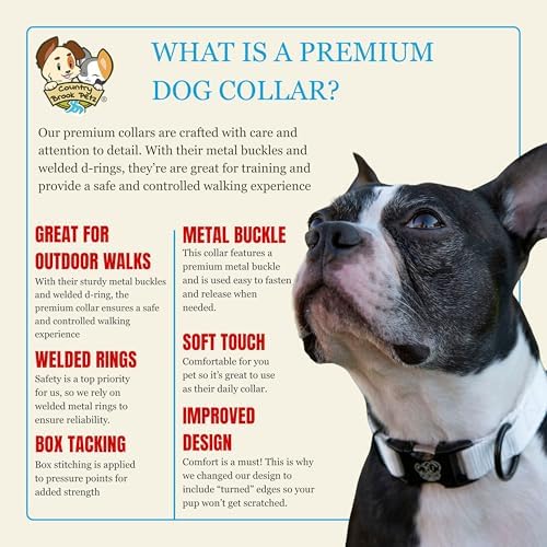 Country Brook Petz - Premium Nylon Dog Collar with Metal Buckle for Small Medium Large Breeds - 30+ Colors (Medium, 3/4 Inch, White)