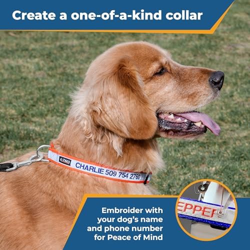 GoTags Reflective Personalized Dog Collar, Custom Embroidered Safety Collar