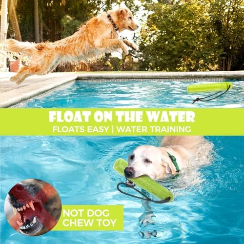 BINGPET Dog Float Bumper Toy 2 Pack,9.3 Inch Detachable Treat Dispensing Puzzle Toys,Training Dummy Retrieving Bumpers Summer Pool Toy Tug Game,Interactive Toys for Medium Large Dogs(Red & Green)