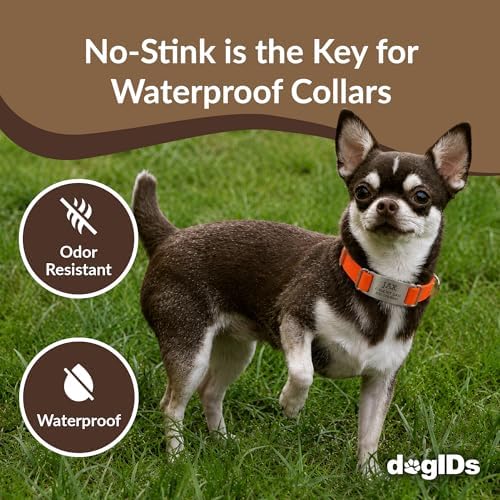 dogIDs Personalized Quick Release Waterprooft ScruffTag Dog Collar - Built-in Custom Laser Engraved Nameplate, Odor Resistant - Orange, 1 in x 13-18 in (Fits Neck Sizes: 13-18 in)