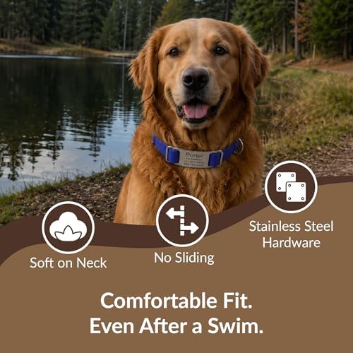 dogIDs Personalized Quick Release Waterprooft ScruffTag Dog Collar - Built-in Custom Laser Engraved Nameplate, Odor Resistant - Blue, 3/4 in x 11-14 in (Fits Neck Sizes: 11-14 in)