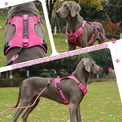 Dog Harness No Pull Adjustable Reflective,for Medium and Large Small Dog with Leash 59.06in (Fuscia, M)