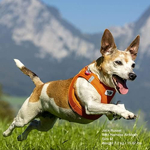 Curli Vest Harness Air-Mesh Dog Harness Pet Vest No-Pull Step-in Harness with Padded Vest Pink 2XS