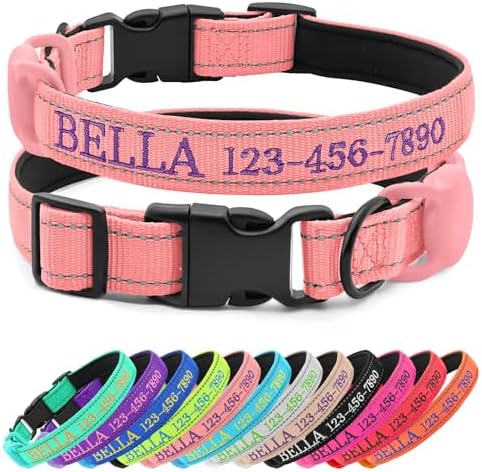 Personalized Nylon Dog Collar with Embroidered Name, Pink