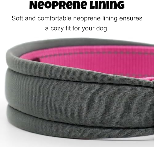 Custom Dog Collar with Engraved Name & Number, Turquoise: S