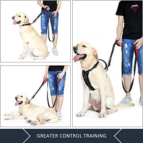 Plutus Pet Double Handle Dog Leash, 4 FT Long, for Medium Large Dogs
