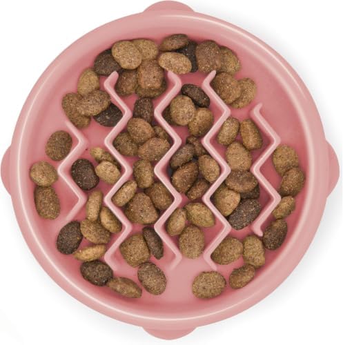 Outward Hound Fun Feeder Slo Bowl – Small 3/4-Cup Capacity,Slow Feeding,Small Dogs,Puppies & Cats,Non-Slip,Pink,Wave Pattern,(Pack of 12)