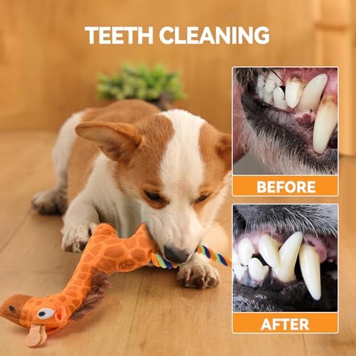AUSCAT Plush Dog Rope Toy, Durable Squeaky Dog Toys for Puppy Small Medium Dogs (Not for Aggressive Chewers), Snake & Giraffe